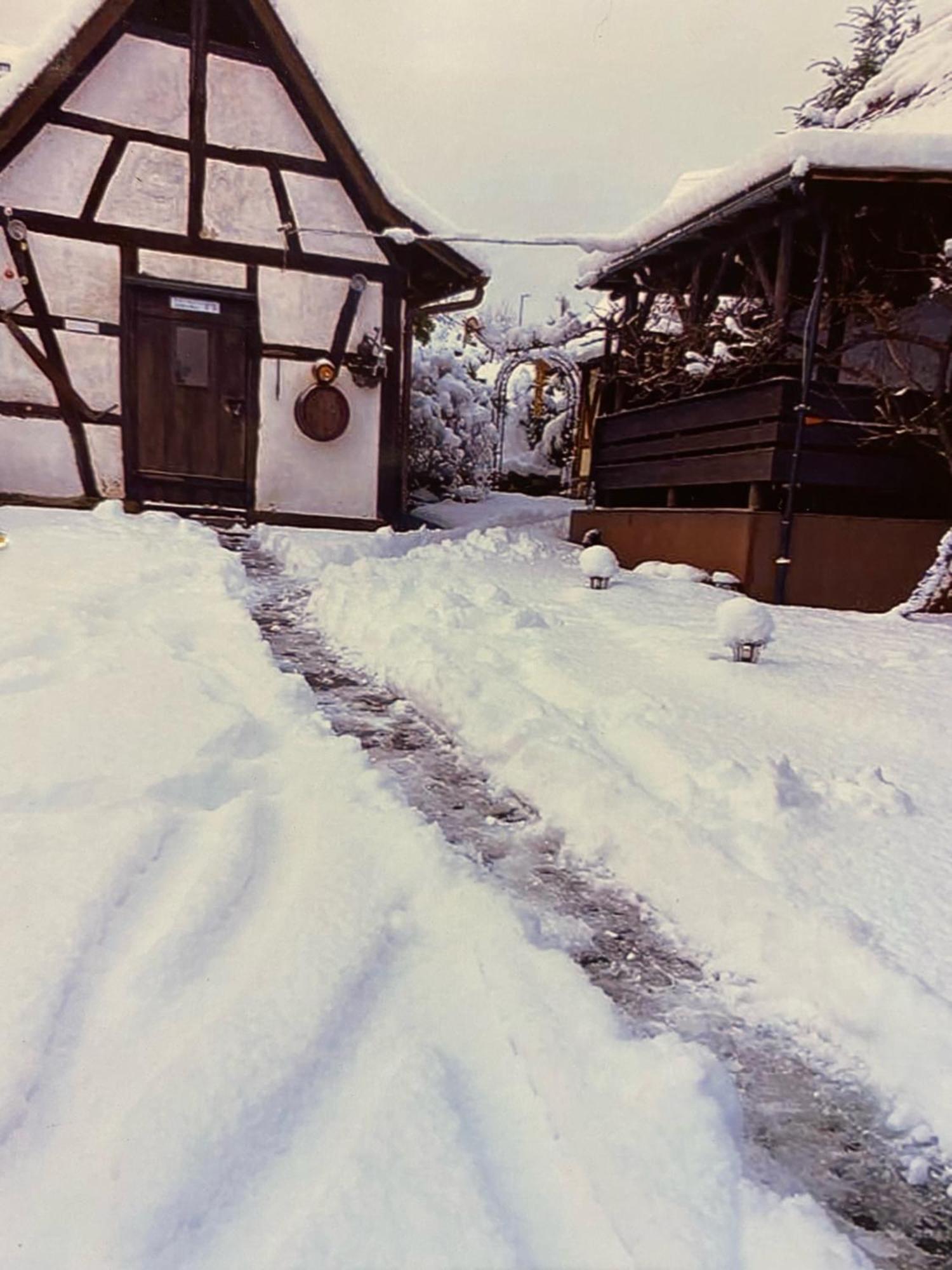 Basler Ferienwohnung オフェンブルク エクステリア 写真